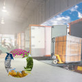 The Rarely Examined Impact of Seasonal Demand on Cargo Shipping and Storage Needs